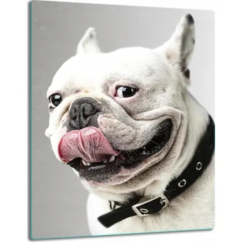 Obraz Krájecí deska TMK ArtDeko sklo 1 ks