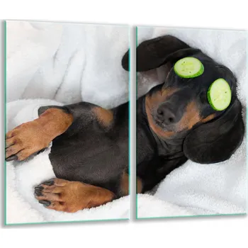 Obraz Krájecí deska TMK ArtDeko sklo 2 ks