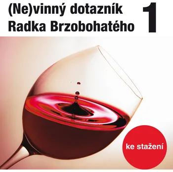 (Ne)vinný dotazník Radka Brzobohatého 1. - Božidara Turzonovová, - audiokniha