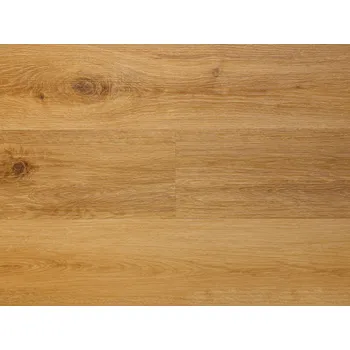 vinylová podlaha Vinylová podlaha SPC RIGID Canadian Design Elegance Golden Vzorek zdarma