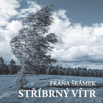 Stříbrný vítr - Alfred Strejček - audiokniha