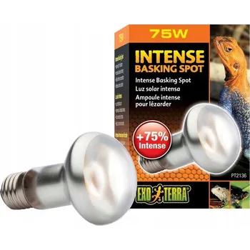 Teraristika Žárovka Exo-Terra Intense Basking Spot 75 W