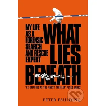 What Lies Beneath - Peter Faulding MacMillan