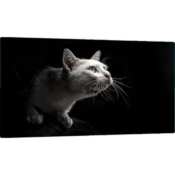 Kuchyňské prkénko SKLENĚNÁ DESKA NA KRÁJENÍ 52x30 KOČKA