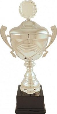 Sportovní luxusní pohár PL411 s poklicí (PL411D)