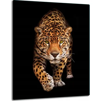 Obraz Krájecí deska TMK ArtDeko sklo 1 ks