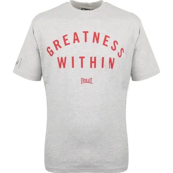 Everlast Greatness Within pánské tričko Grey/Red L