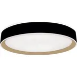 LED Stmívatelné stropní svítidlo s hlasovým ovládáním OPAL LED/48W/230V + DO