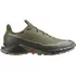 Pánská běžecká obuv Salomon Alphacross 5 Gore-Tex L47310300, 41 1/3