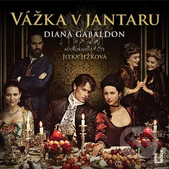 Vážka v jantaru - Diana Gabaldon OneHotBook