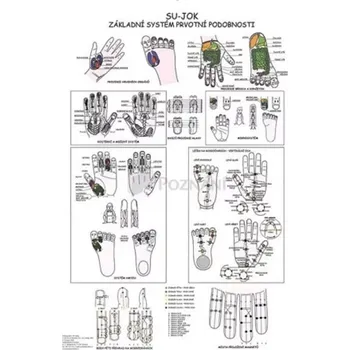 Plakát Plakát Su-Jok základní systém prvotní podobnosti 48x70cm
