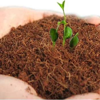 Substrát Komodo Coconut Terrain - kokosový substrát 6l