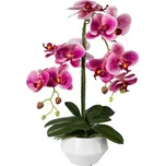 Gasper Umělá orchidej v bílém…
