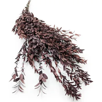 mech-mech.cz Stabilizovaný eukalyptus Parvifolia - červený