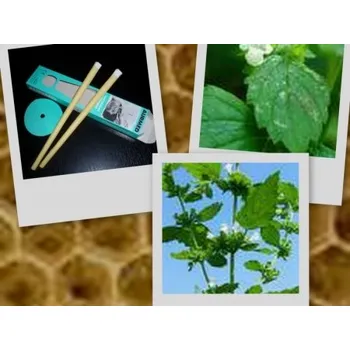 Svíčka Ušní svíčka meduňková