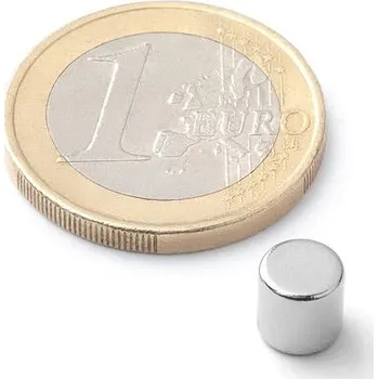 Dekorativní magnet Neodymový magnet kotouč Ø&nbsp;6&nbsp;mm, v.&nbsp;6&nbsp;mm, do 120 °C, síla 1,1&nbsp;kg
