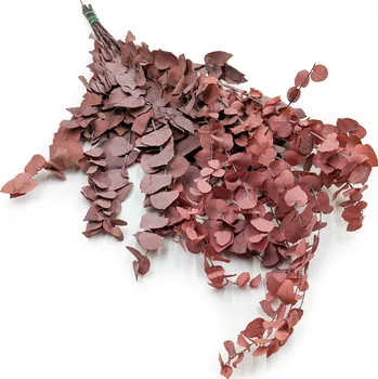 mech-mech.cz Stabilizovaný eukalyptus Stuartiana - (Stewartiana) - červený