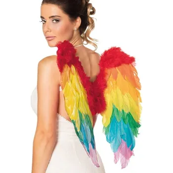 Karnevalový kostým Duhová andělská křídla 50x50 cm