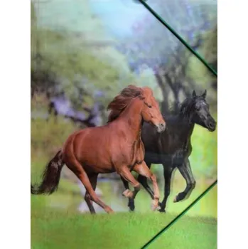 Archivační box Desky na spisy/výkresy s gumou, motiv koně,3D efekt