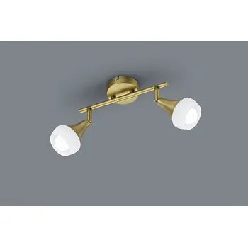 Bodové svítidlo TRIO 803100204 Trumpet Spot E14 2x40W