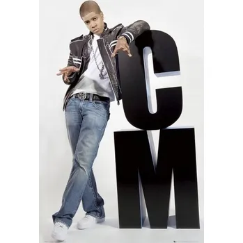 Obraz Plakát Veverka Chipmunk 61 x 91 cm