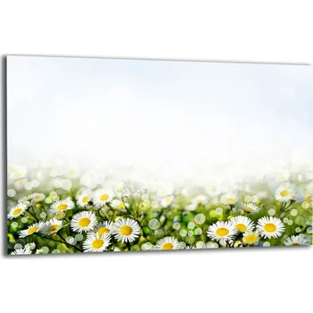 Obraz Krájecí deska TMK ArtDeko sklo 1 ks