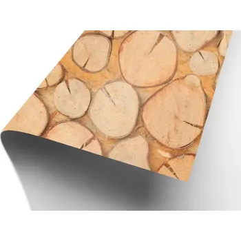 Barevný karton s potiskem Dřevo, formát B2 250gr/m2