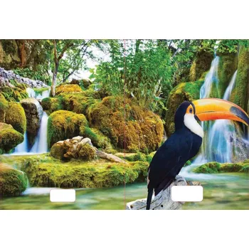 Sešit sešit 544 s 3D motivem A5, 40 listů,linkovaný, motiv tukan