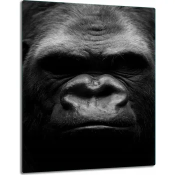 Kuchyňské prkénko Krájecí deska TMK ArtDeko sklo 1 ks