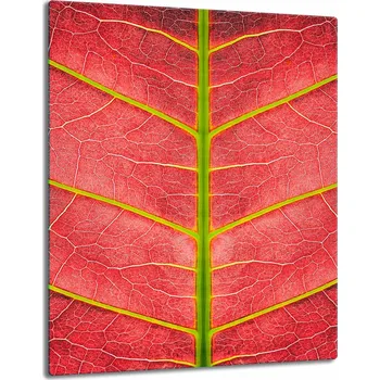 Obraz Krájecí deska TMK ArtDeko sklo 1 ks