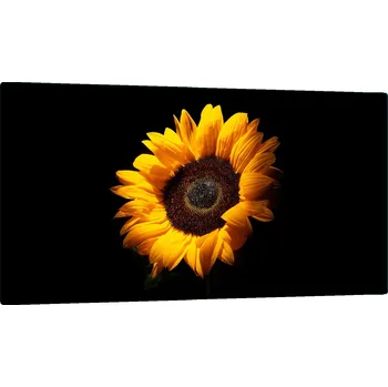 Kuchyňské prkénko SKLENĚNÁ DESKA NA KRAJENÍ 52x30 KVĚTINY