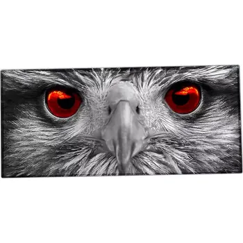 Stolní podložka XXL podložka pod myš HUADO Orel bělohlavý