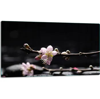 Kuchyňské prkénko Krájecí deska TMK ArtDeko sklo 1 ks