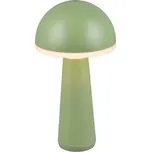 TRIO Reality R57716149 FUNGO venkovní stolní lampa SMD LED V310mm 2W/200lm 3000+4000+6500K IP54 pistáciová, černá, nabíjecí baterie, USB-C port, nabíjecí stanice