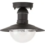 Rabalux 8716 Oslo stropní svítidlo 1xE27 IP44