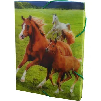 Krabice na sešity s gumou A5,motiv koně,3D efekt