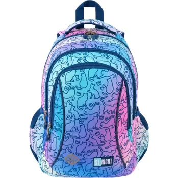 Školní batoh Studentský batoh 17 St.RIGHT - Ombre Cats, 4 komorový, BP01, rozměry: 43 x 32 x 21cm