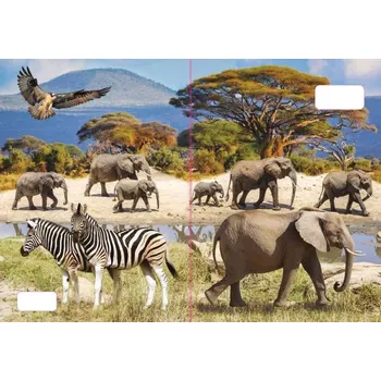 Sešit sešit 544 s 3D motivem, A5, 40 listů,linkovaný, motiv sloni