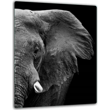 Obraz SKLENĚNÁ OCHRANNÁ DESKA NA INDUKCI 40x52 SLON KUCHYNĚ Tvrzené Sklo 7v1