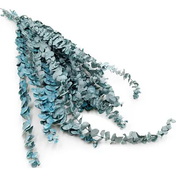 mech-mech.cz Stabilizovaný eukalyptus Baby - matně zelený