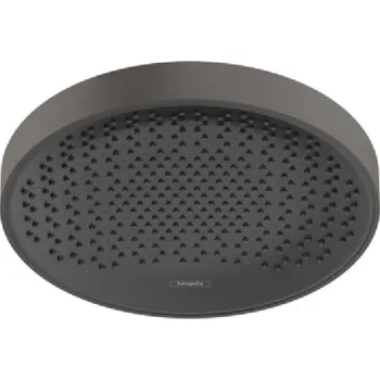 Sprchová hlavice Hansgrohe Rainfinity horní sprcha 360 1jet, kartáčovaný černý chrom 26231340