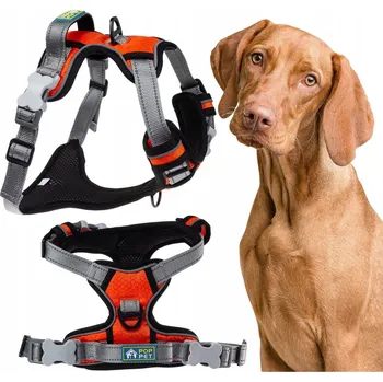 Postroj pro psa POSTROJE pro psa beztlakové s rukojetí typu GUARD L ORANŽOVÉ.