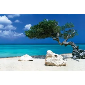 Obraz Plakát Karibik bez rámu 91 x 61 cm