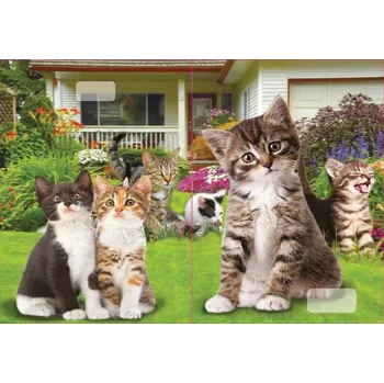 Sešit sešit 544 s 3D motivem, A5, 40 listů,linkovaný, motiv koťata