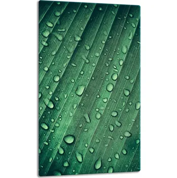 Obraz Krájecí deska TMK ArtDeko sklo 1 ks