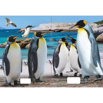 Sešit sešit 544 s 3D motivem, A5, 40 listů,linkovaný, motiv tučňáci