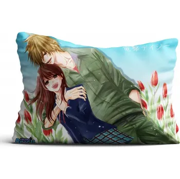 Polštář Polštář filmový, herní, knižní, komiksový Anime 40 x 30 cm