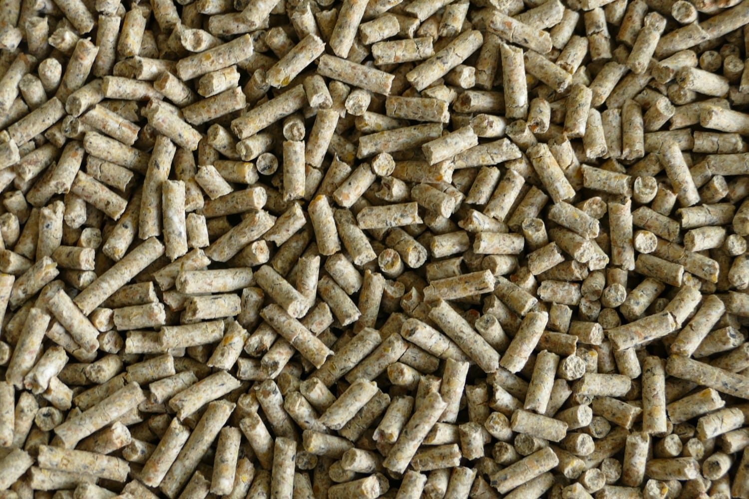 Kompletmí krmná směs je určena pro nosnice ve 2. fázi snášky, přibližně od 50. týdne stáří. Denní spotřeba směsi je 115g/ks.