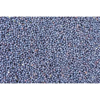 Chov hospodářského zvířete Zelené hnojení.