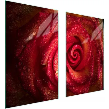 Obraz Skleněná ochranná deska na sporák 75x52 Růže